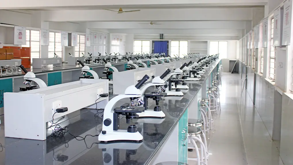 Anatomy Facility