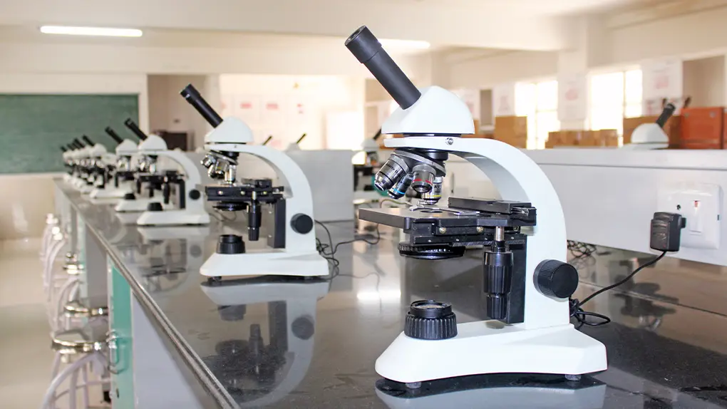 Anatomy Facility