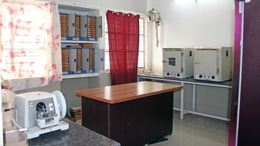 Anatomy Facility