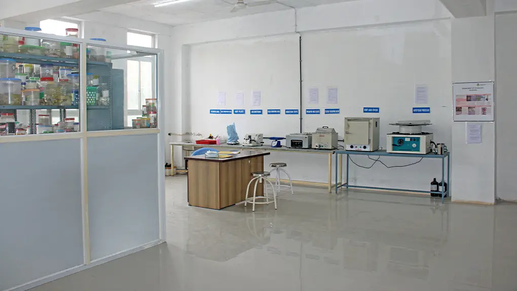 Histopathology