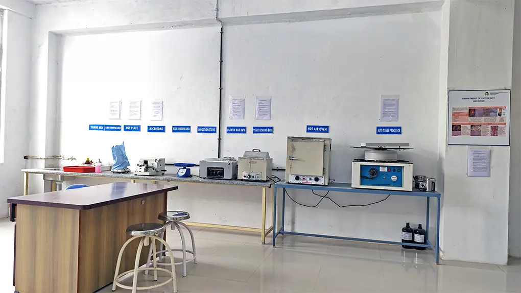 Histopathology